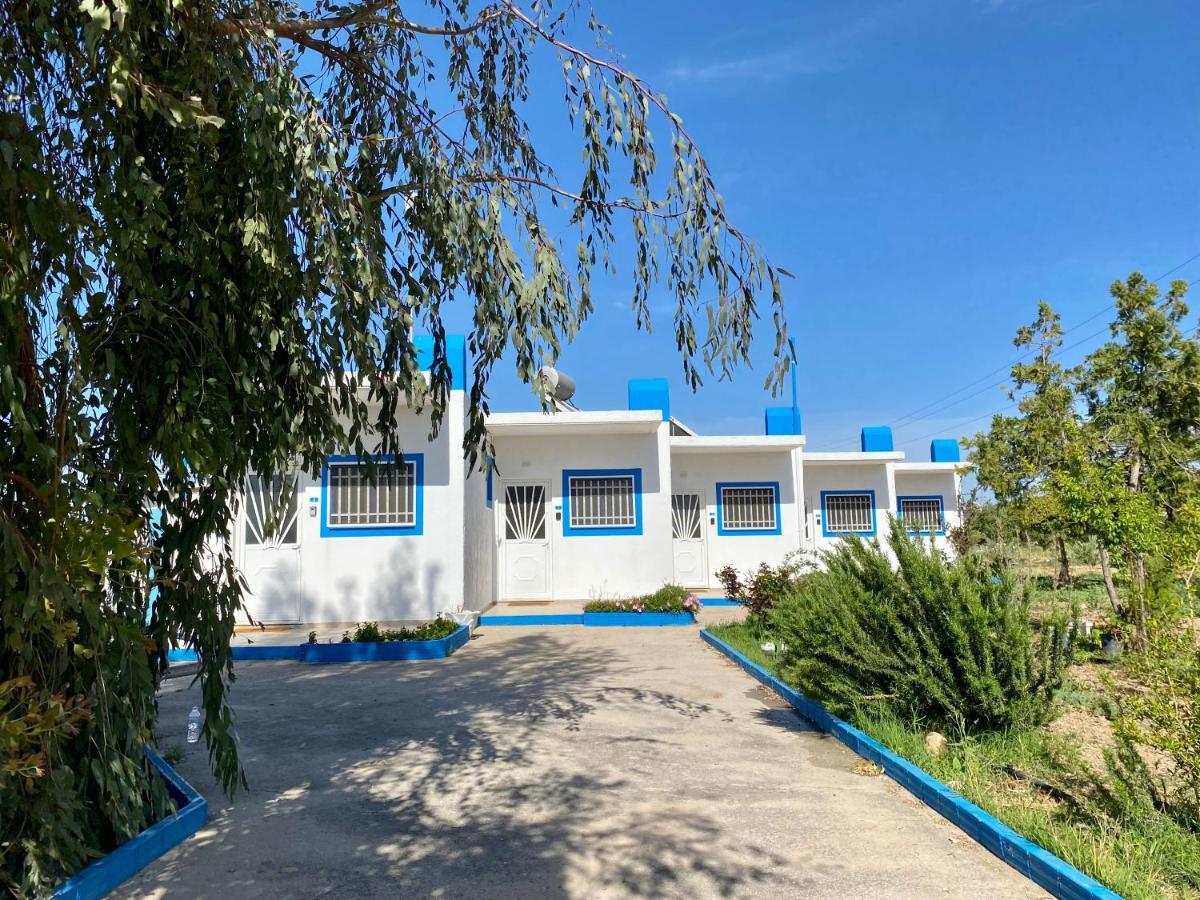Elgreco Apartment, At Tigaki, Near The Sea "3" Tigkaki (Kos) Exterior foto
